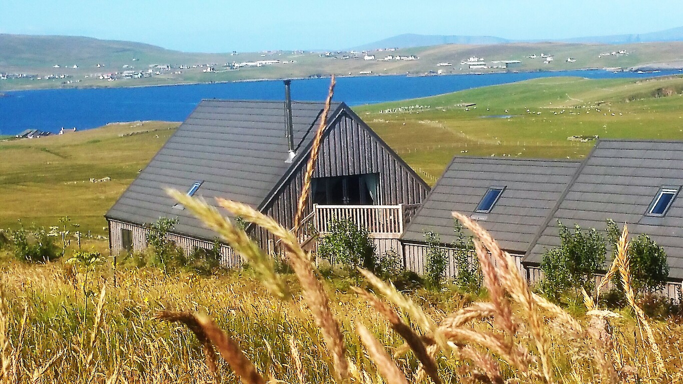 Voortrekker Shetland