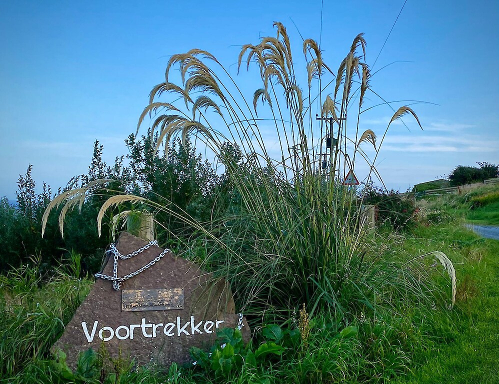 Voortrekker Shetland