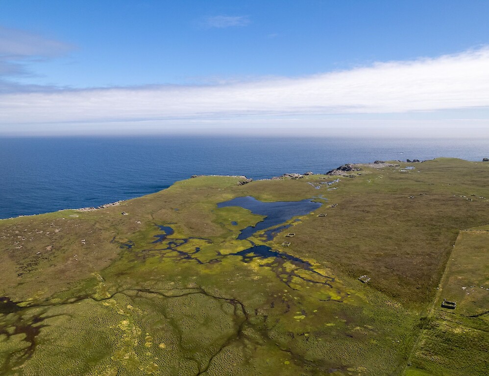 Voortrekker Shetland
