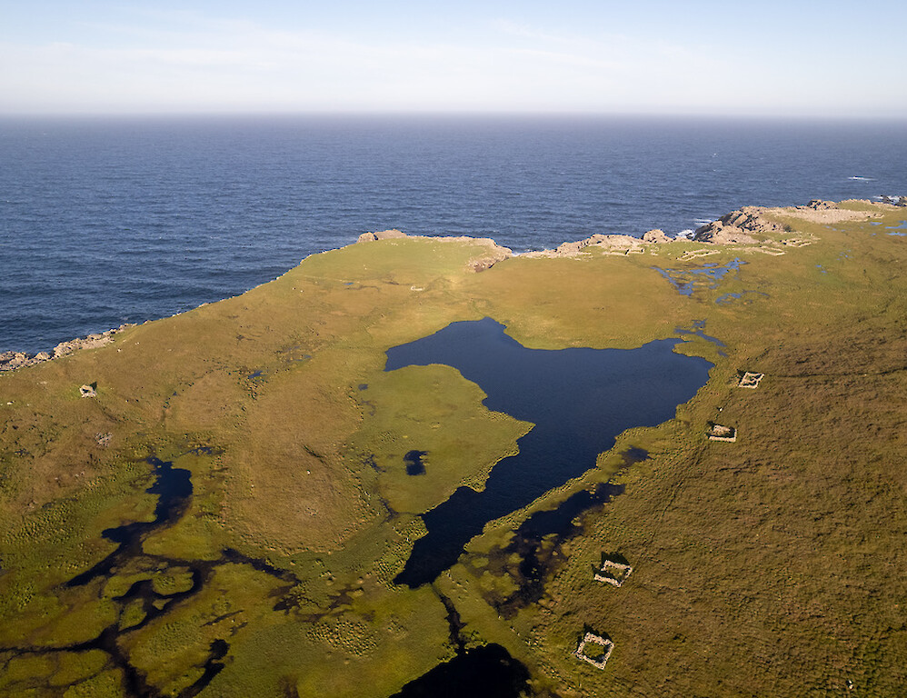 Voortrekker Shetland