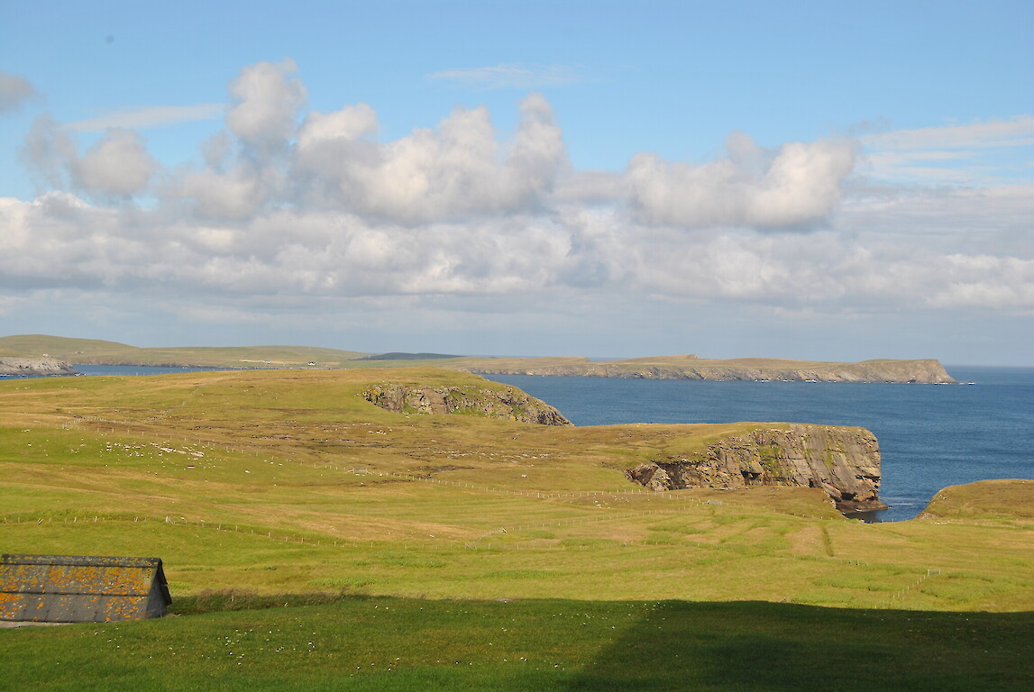 Voortrekker Shetland