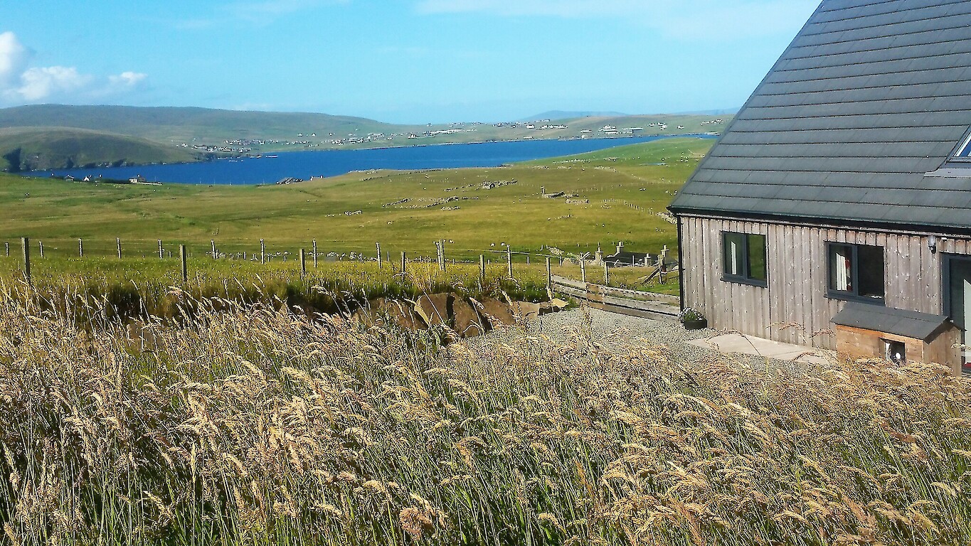 Voortrekker Shetland