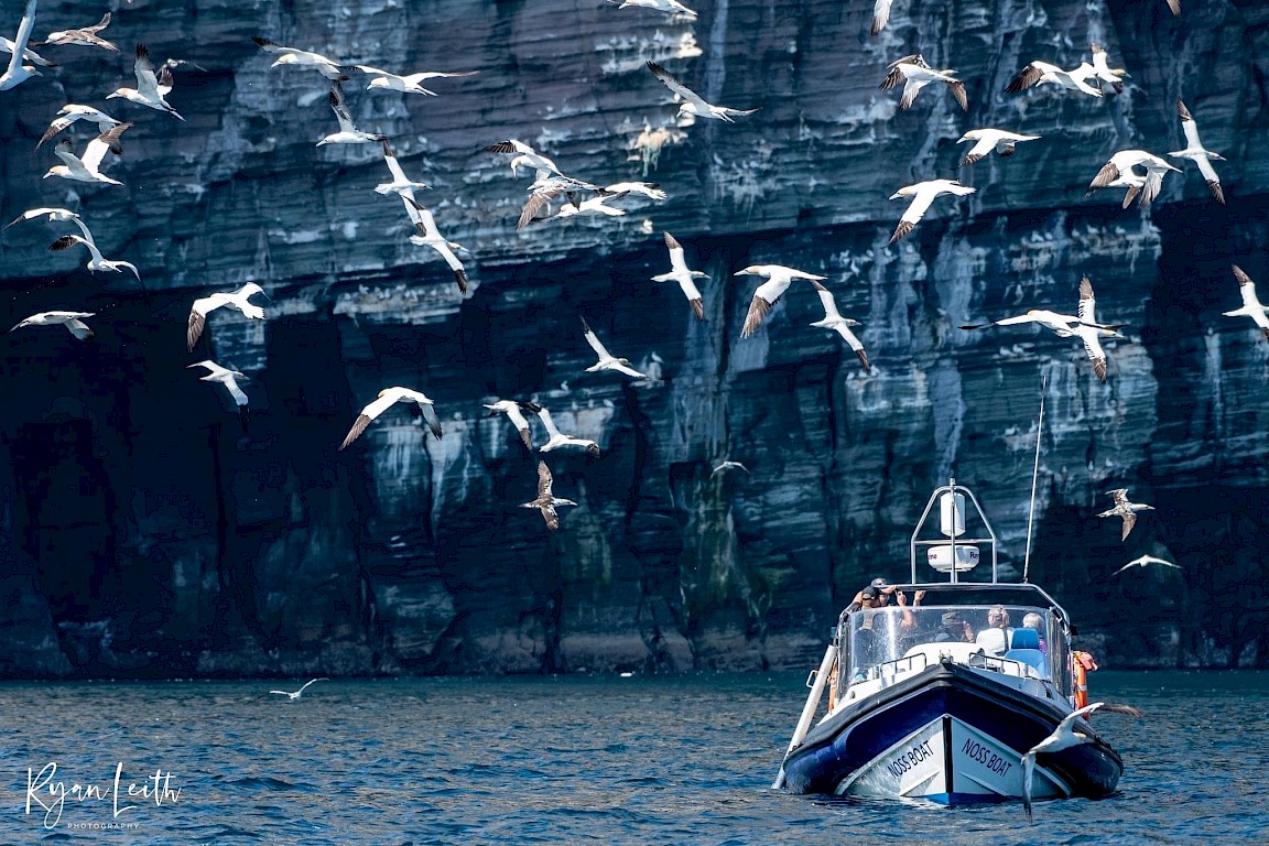 The Noss Boat by Ryan Leith