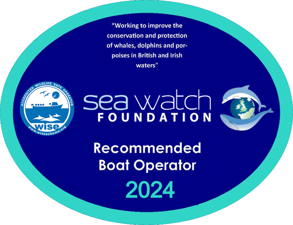 The Original Noss Boat - Shetland Seabird Tours