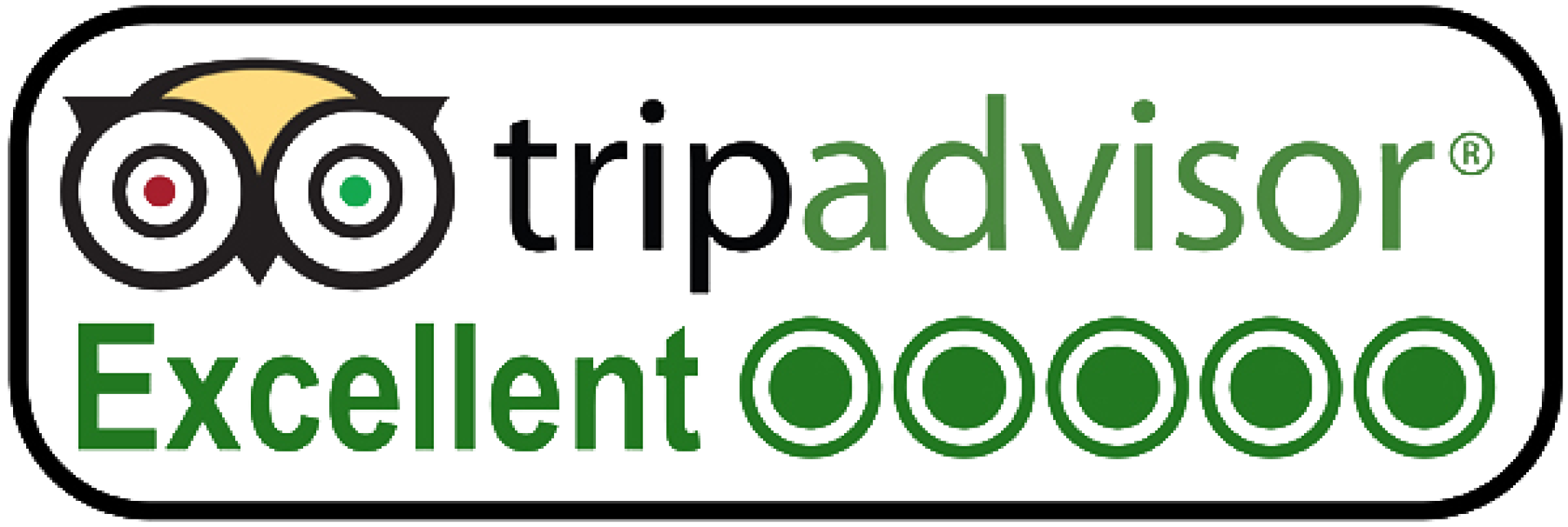 Best of the Best 2016-2025