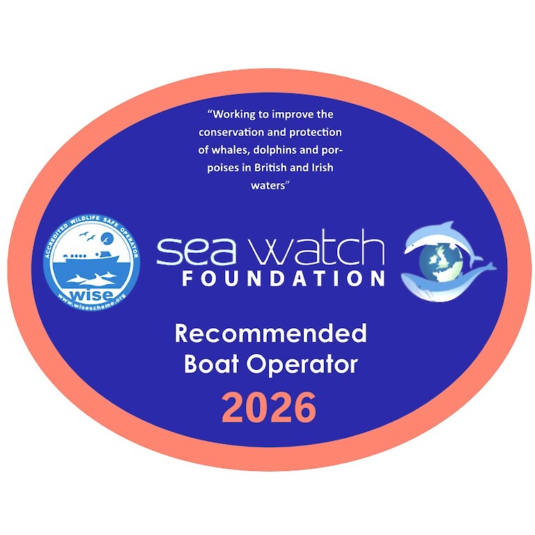 Sea Watch Foundation Recommended Boat Tour Company