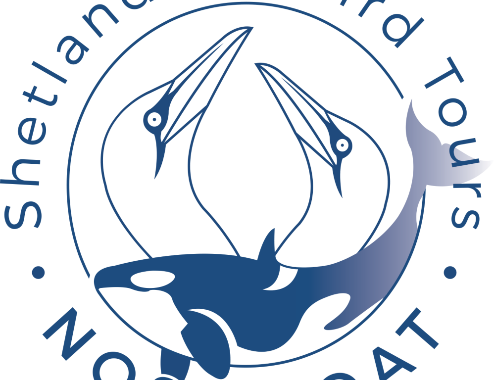 The Noss Boat - Shetland Seabird Tours