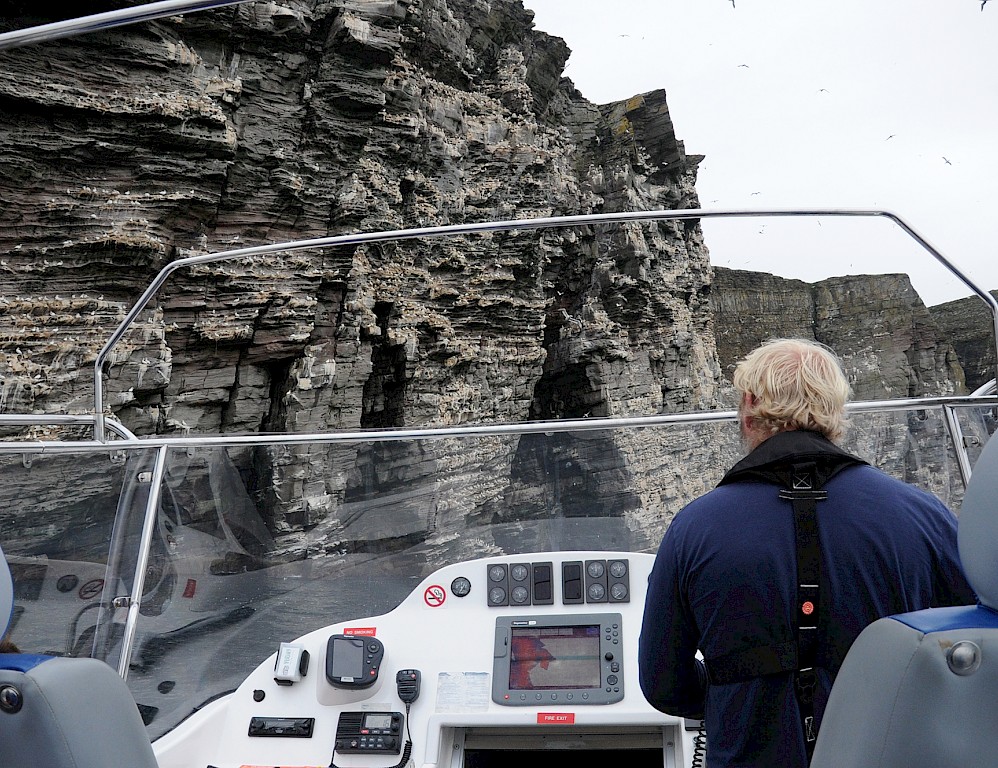 The Noss Boat - Shetland Seabird Tours