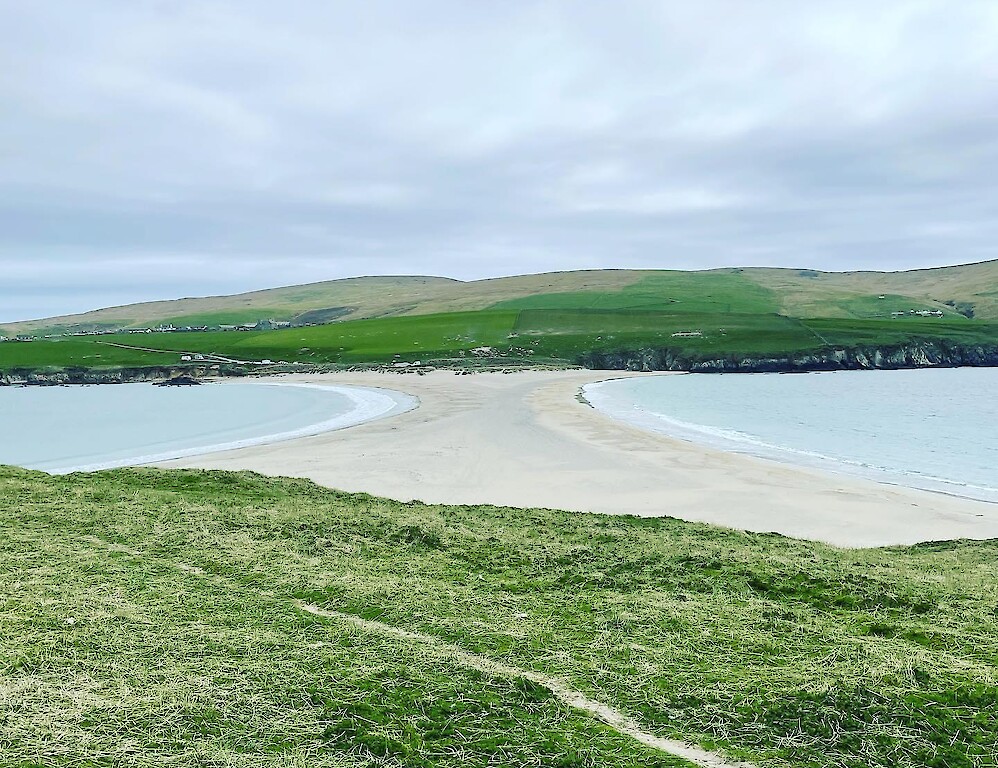 Shetland minibus tours