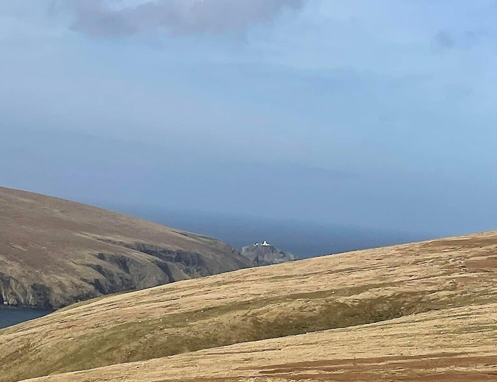 Shetland minibus tours