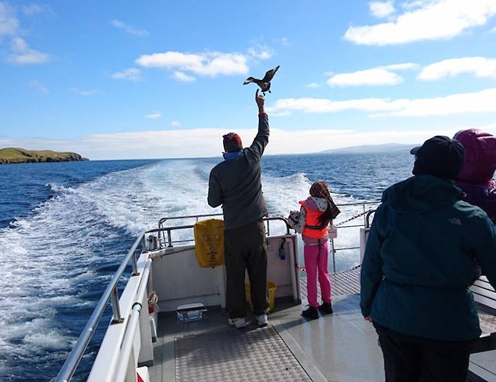 The Original Noss Boat: Seabirds and Seals EST 1992