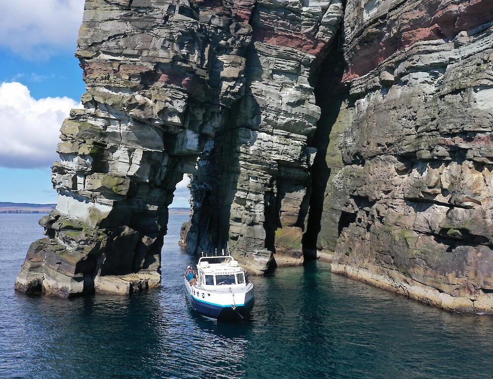 The Original Noss Boat: Seabirds and Seals EST 1992