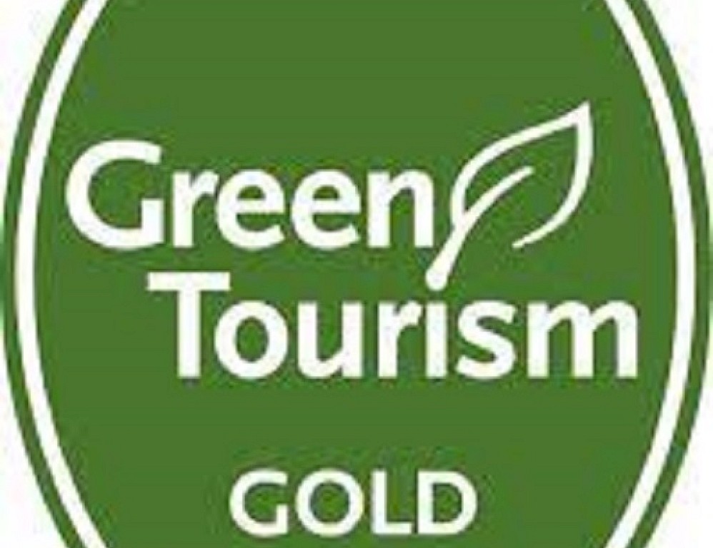 The Original Noss Boat: Seabirds and Seals EST 1992