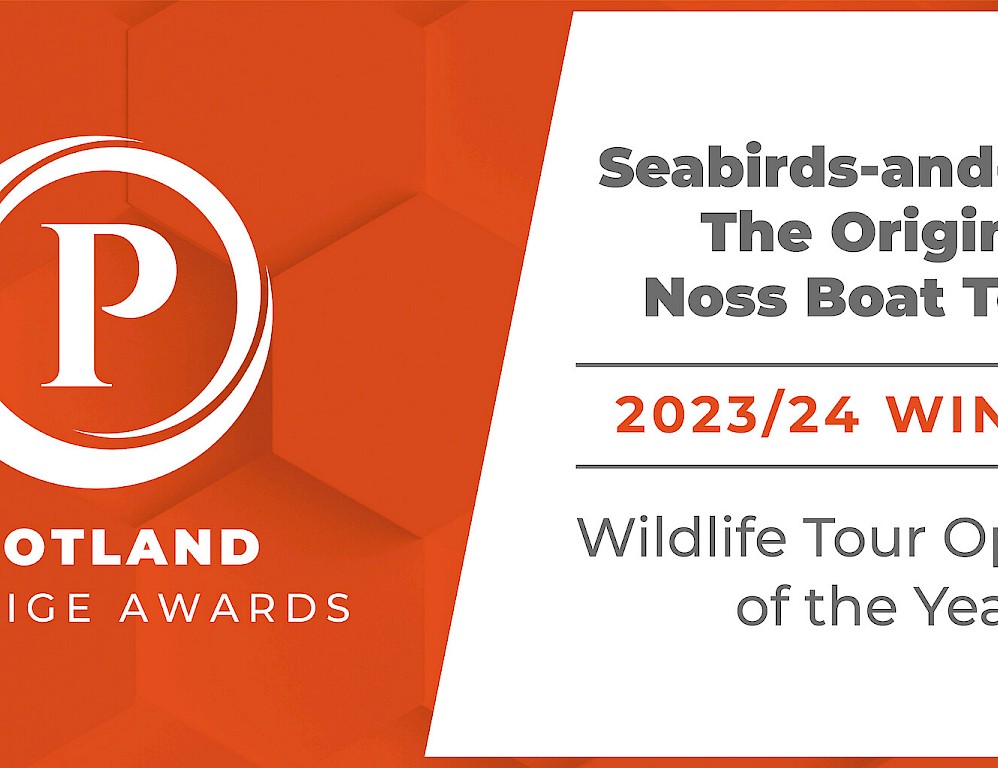 The Original Noss Boat: Seabirds and Seals EST 1992