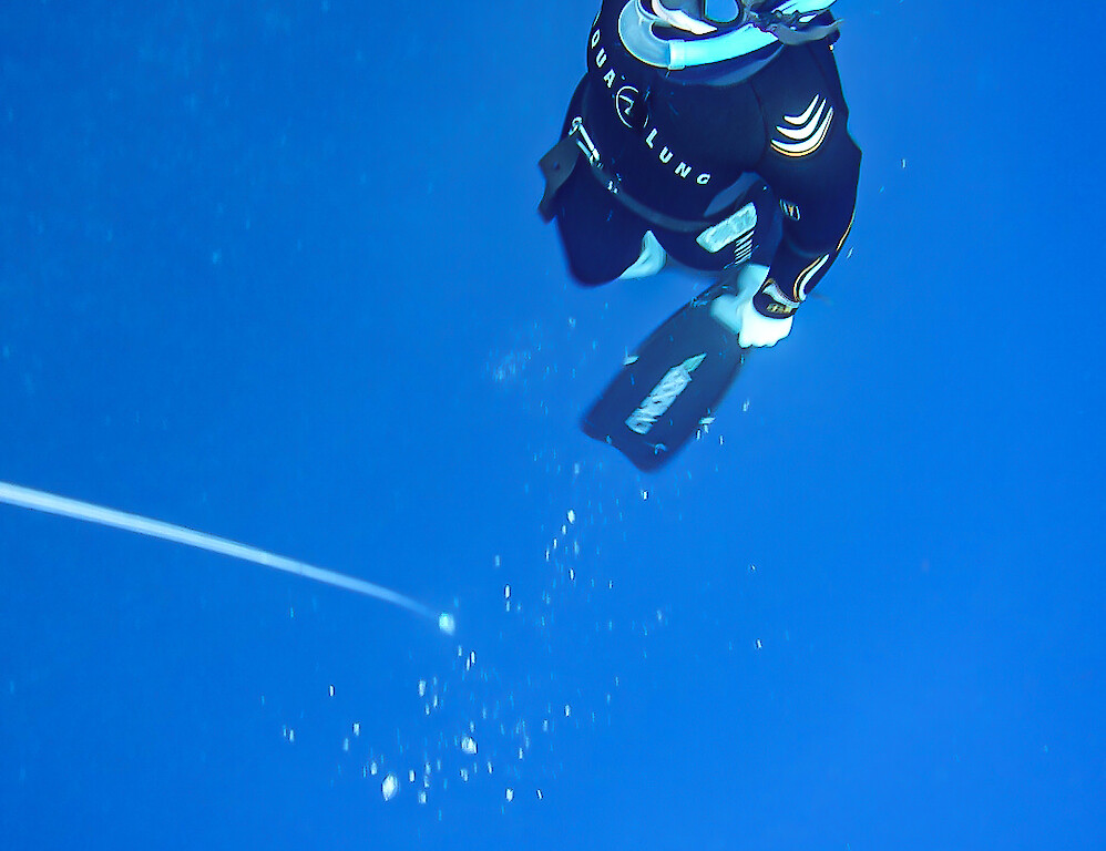 Freedive Shetland - Atlantica