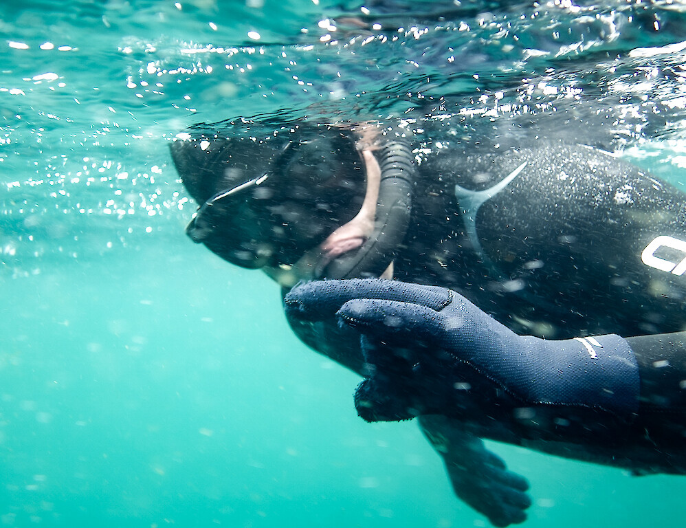 Freedive Shetland - Atlantica