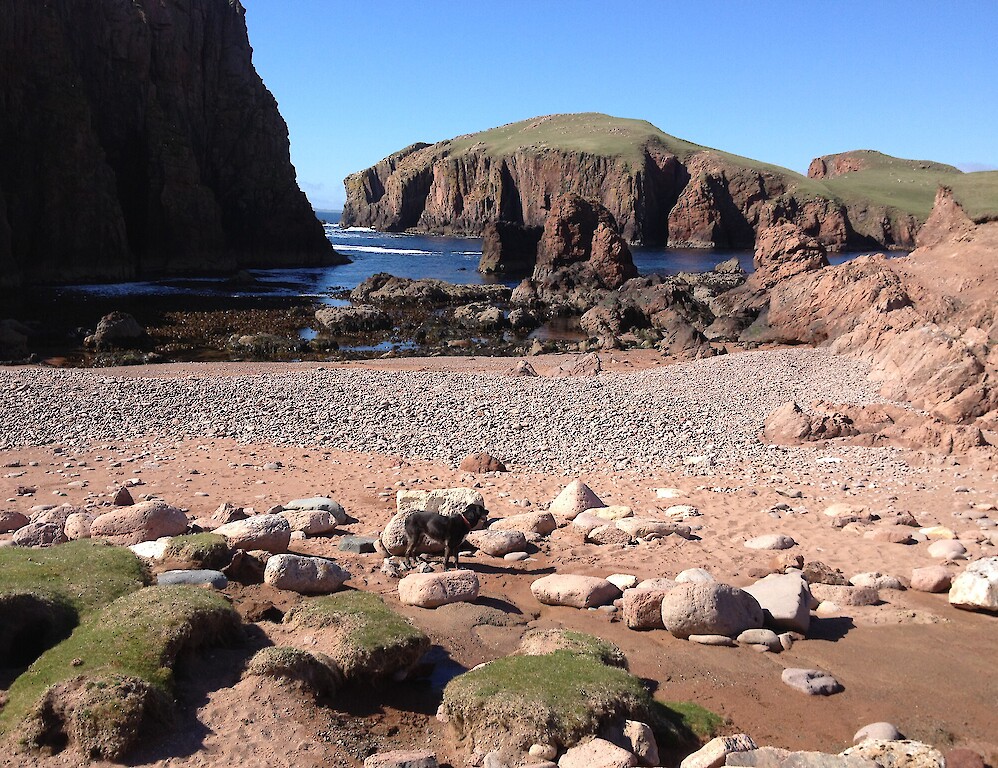Shetland Footprints Guided Tours