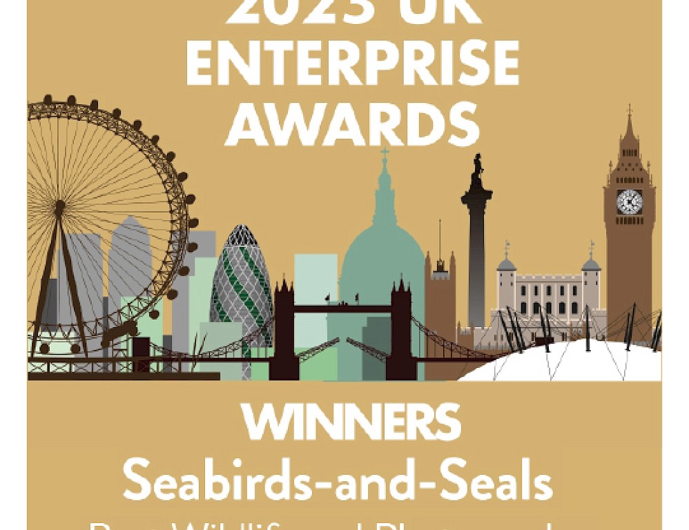 The Original Noss Boat: Seabirds and Seals EST 1992