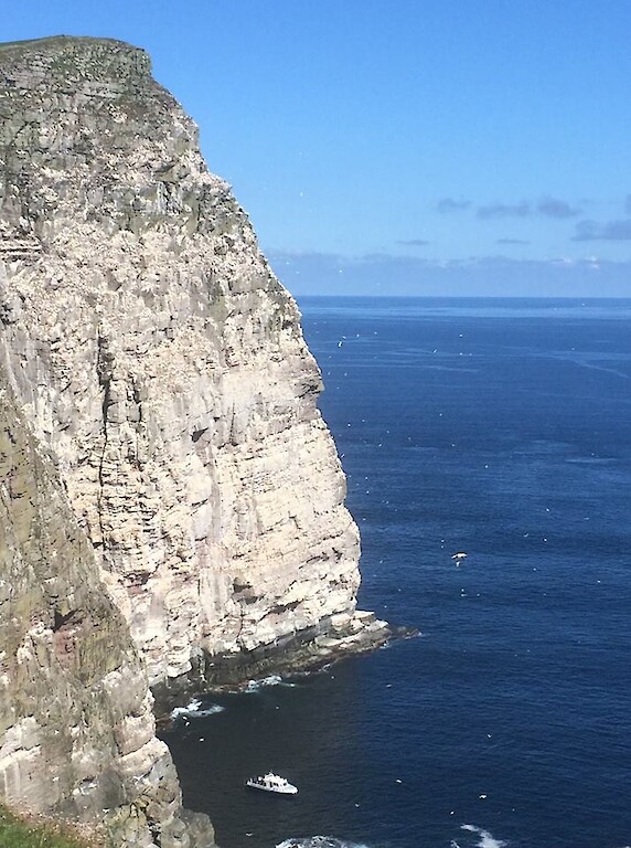 The Original Noss Boat: Seabirds and Seals EST 1992