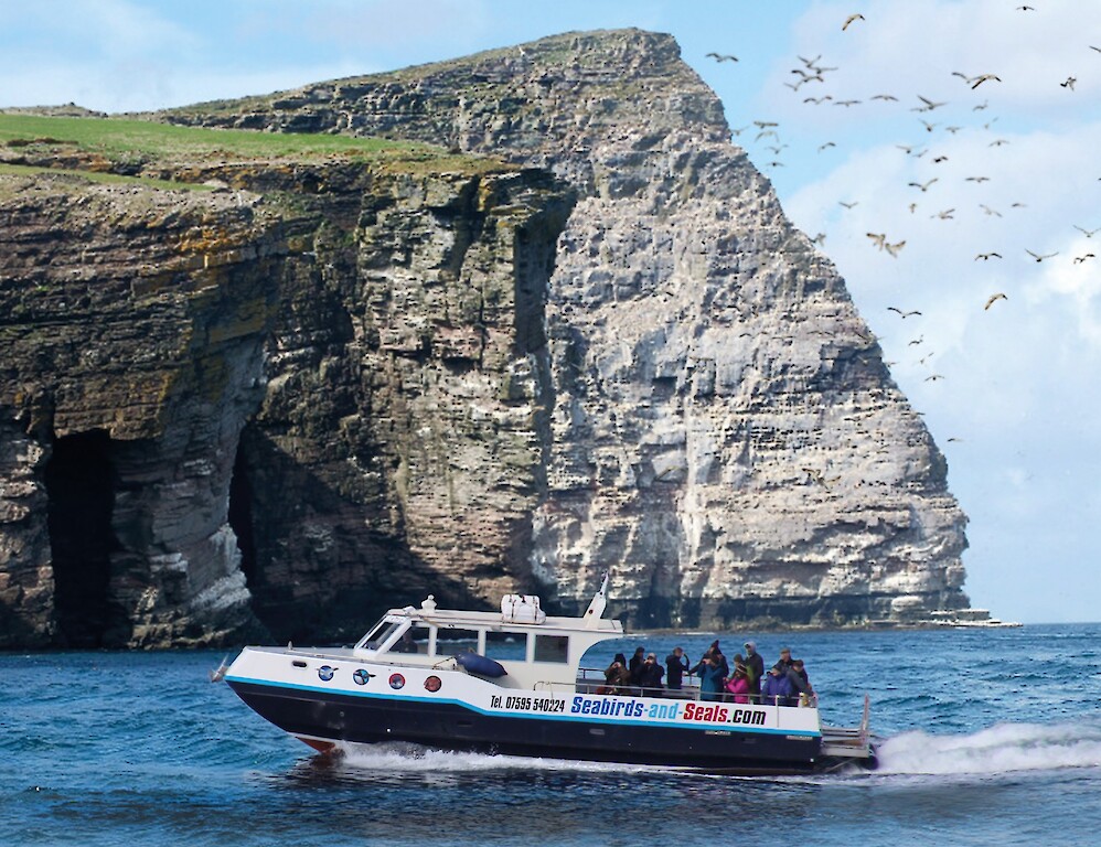 The Original Noss Boat: Seabirds and Seals EST 1992