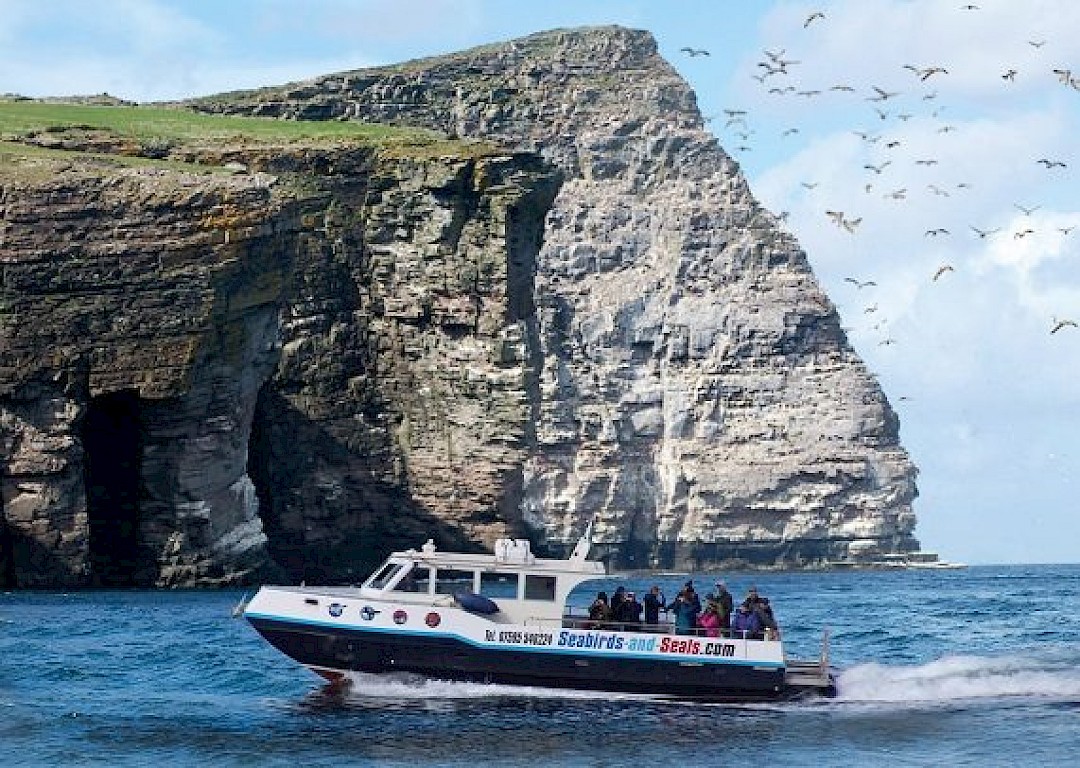 The Original Noss Boat: Seabirds and Seals EST 1992