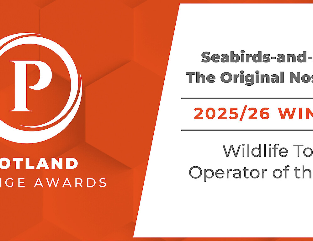 The Original Noss Boat: Seabirds and Seals EST 1992