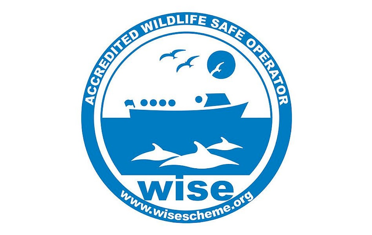 The Original Noss Boat: Seabirds and Seals EST 1992