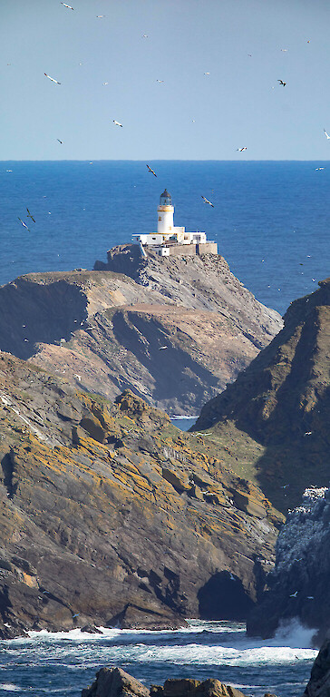Muckle Flugga lighthouse from Hermaness National Nature Reserve (Rob Brookes)