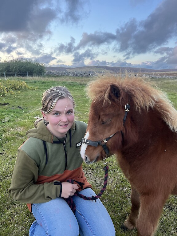 One of our many Shetland pony&rsquo;s