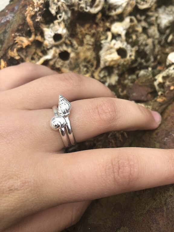 Netted Whelk and Flat Top Shell rings in silver